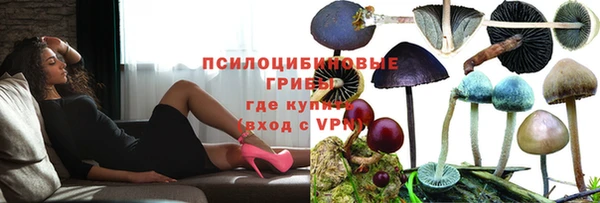 ПСИЛОЦИБИНОВЫЕ ГРИБЫ Алексин