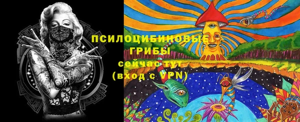 ПСИЛОЦИБИНОВЫЕ ГРИБЫ Алексин