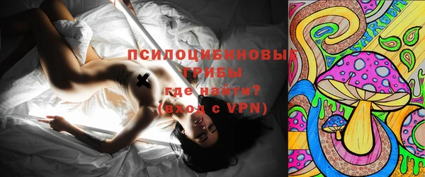 mdpv Армянск
