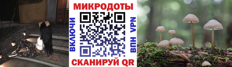 Псилоцибиновые грибы MAGIC MUSHROOMS  Купить где  Шлиссельбург 